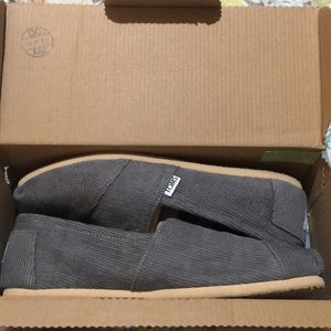 Grey winter toms